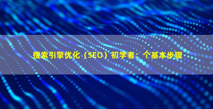 搜索引擎优化（SEO）初学者：个基本步骤